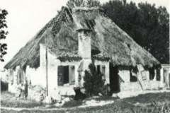 pianeta-rurale-casoni28