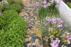 pianeta-rurale-piante-e-fiori-108