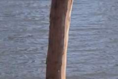 pianeta-rurale-posti-barca-101